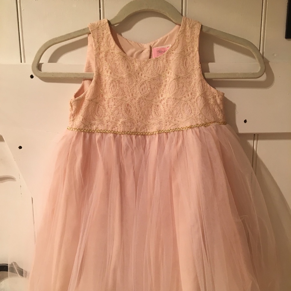 Girls blush lace and tulle dress